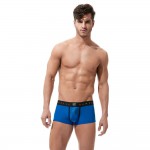 Boxer Torridz